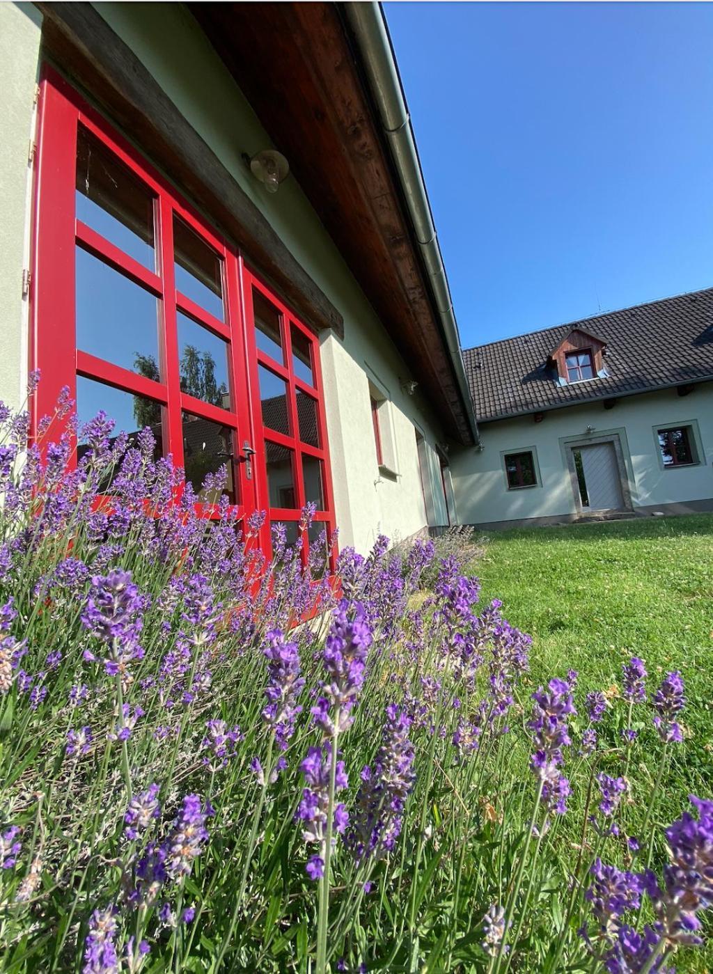 Apartmany Penzion Katerina Nadejkov Luaran gambar