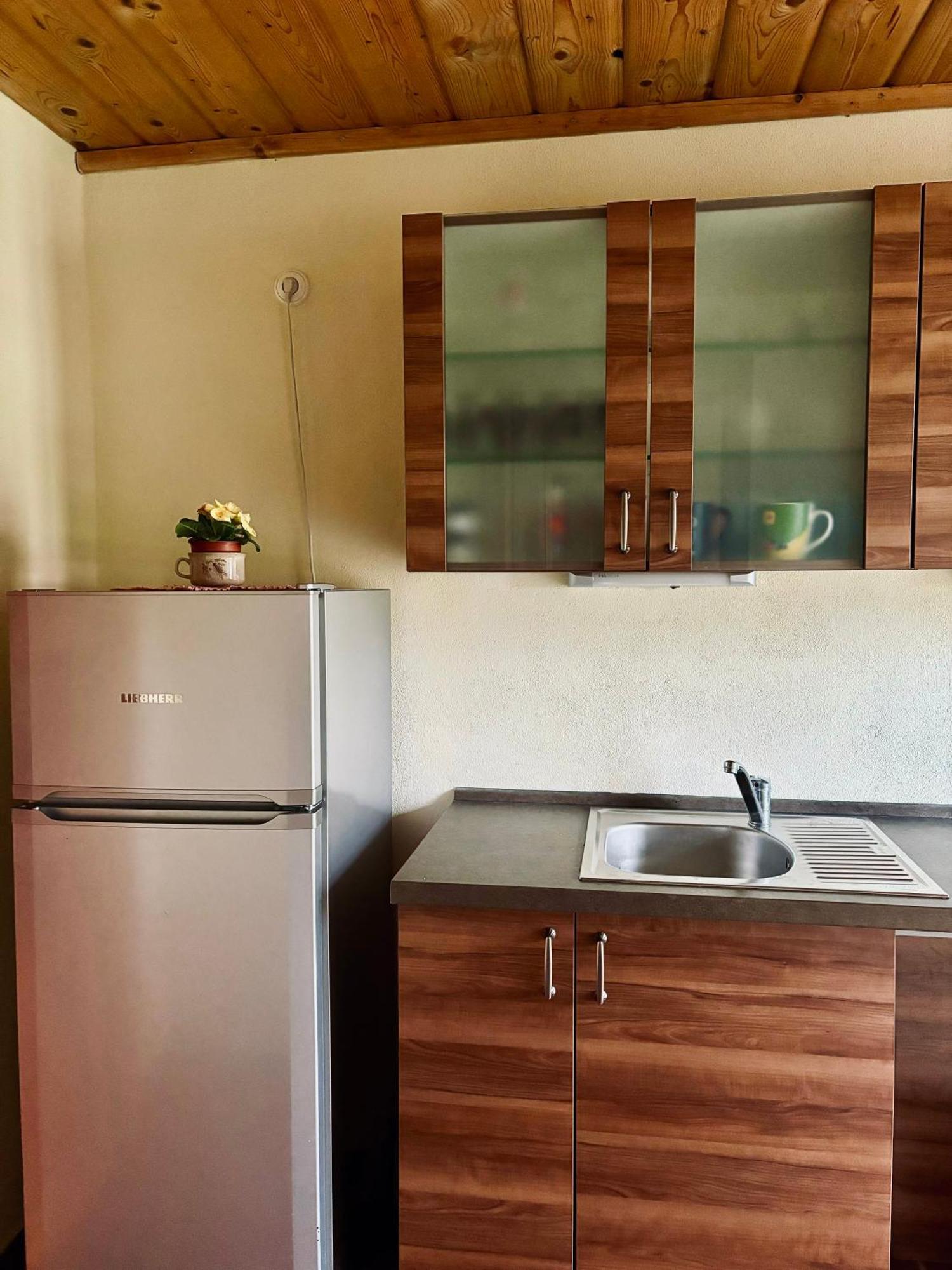 Apartmany Penzion Katerina Nadejkov Luaran gambar